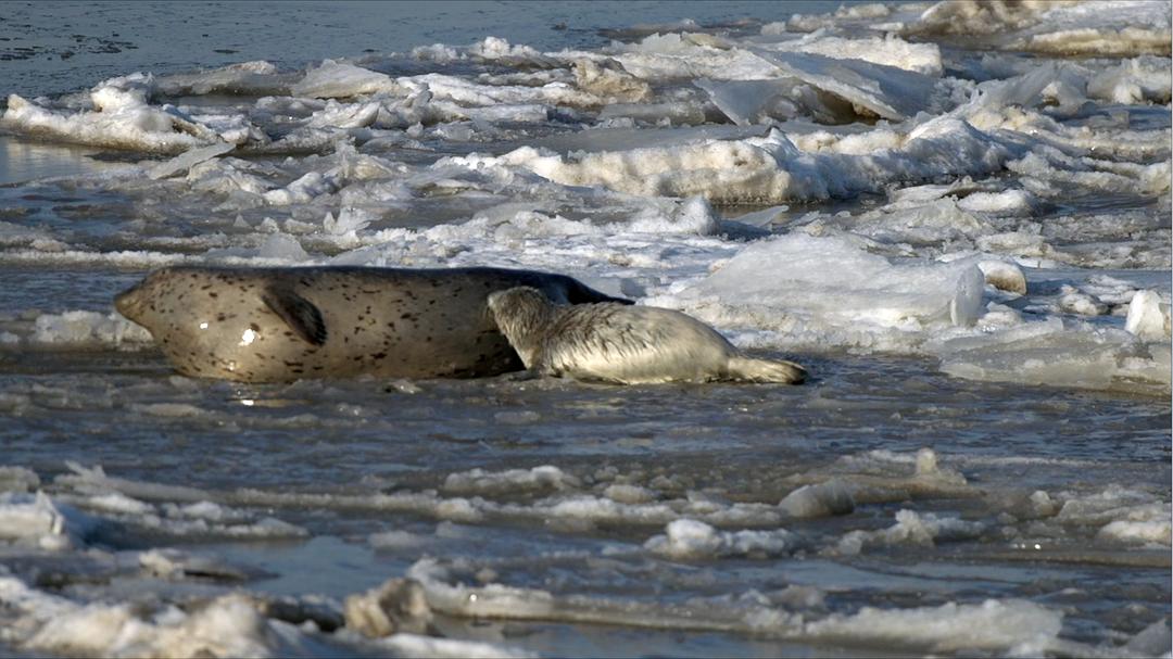 《蔚蓝之境》剧照