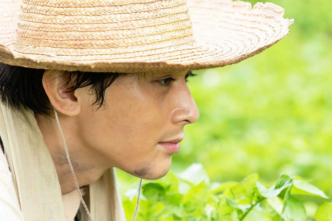 《夏空》海报第21张图片