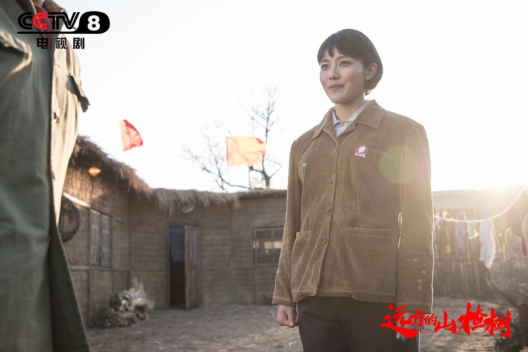 《远方的山楂树》剧照