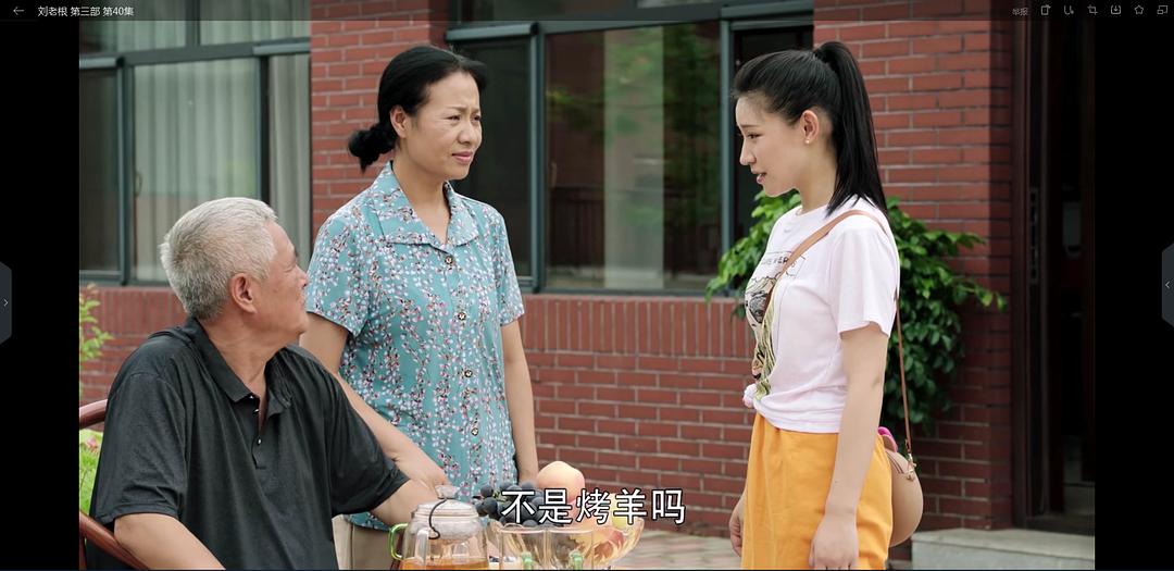 《刘老根3》剧照第47张图片