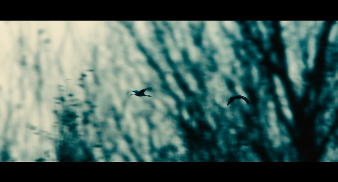 《感化院》剧照第39张图片