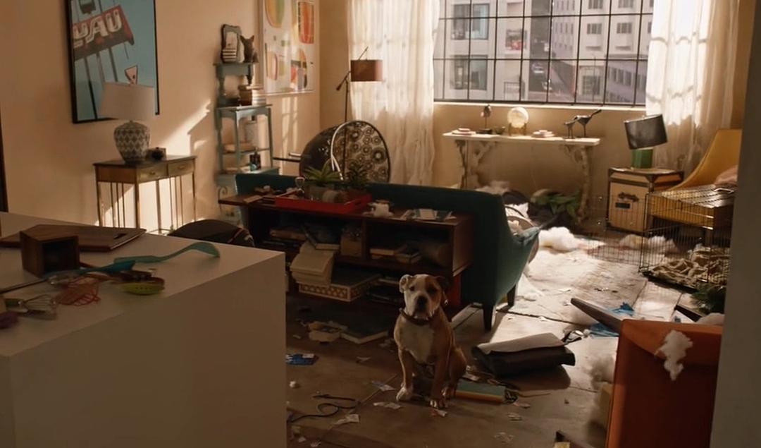 《菜鸟老警第二季》海报第48张图片