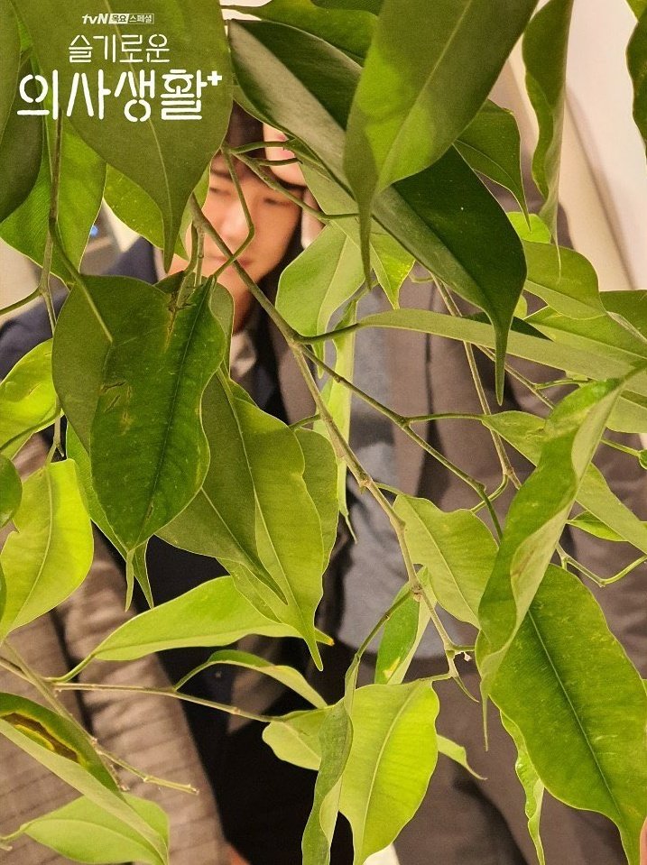 《机智医生生活》剧照第48张图片