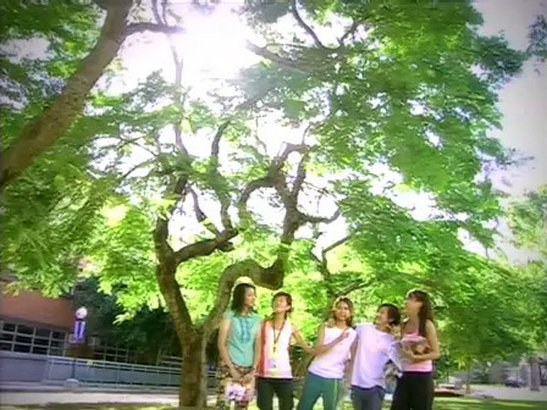 《当四叶草碰上剑尖时》海报第43张图片