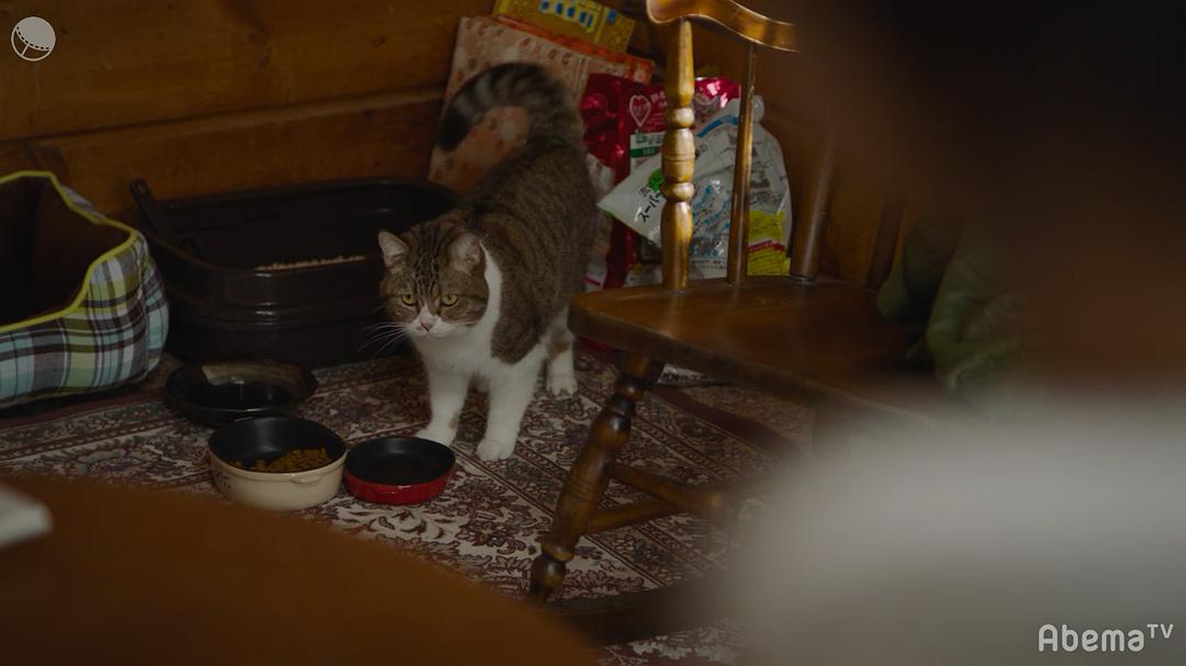 《只有我是17岁的世界》剧照第22张图片