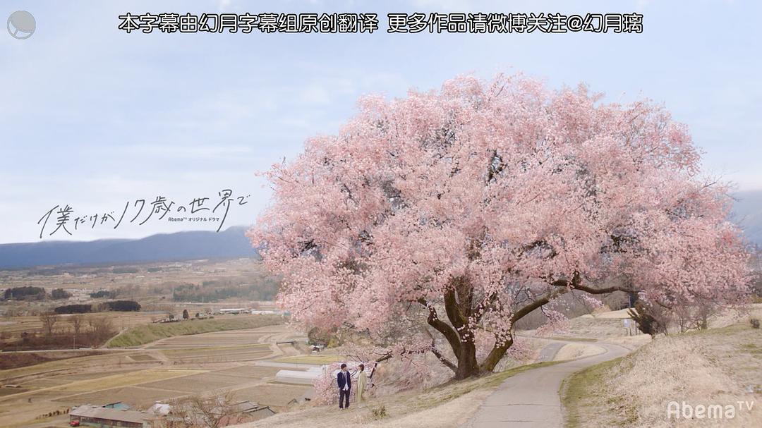 《只有我是17岁的世界》剧照第14张图片