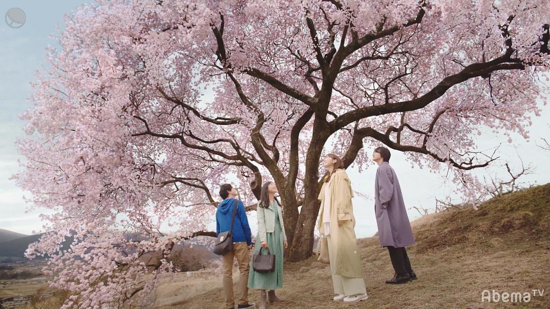 《只有我是17岁的世界》剧照第13张图片