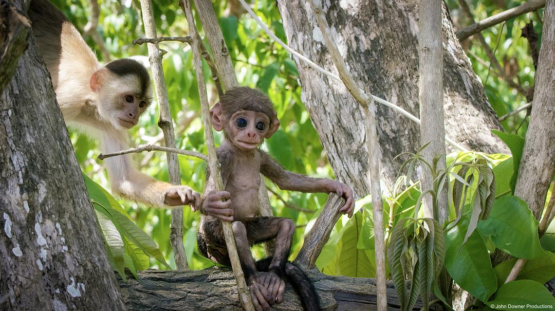 《荒野间谍第二季》剧照第19张图片