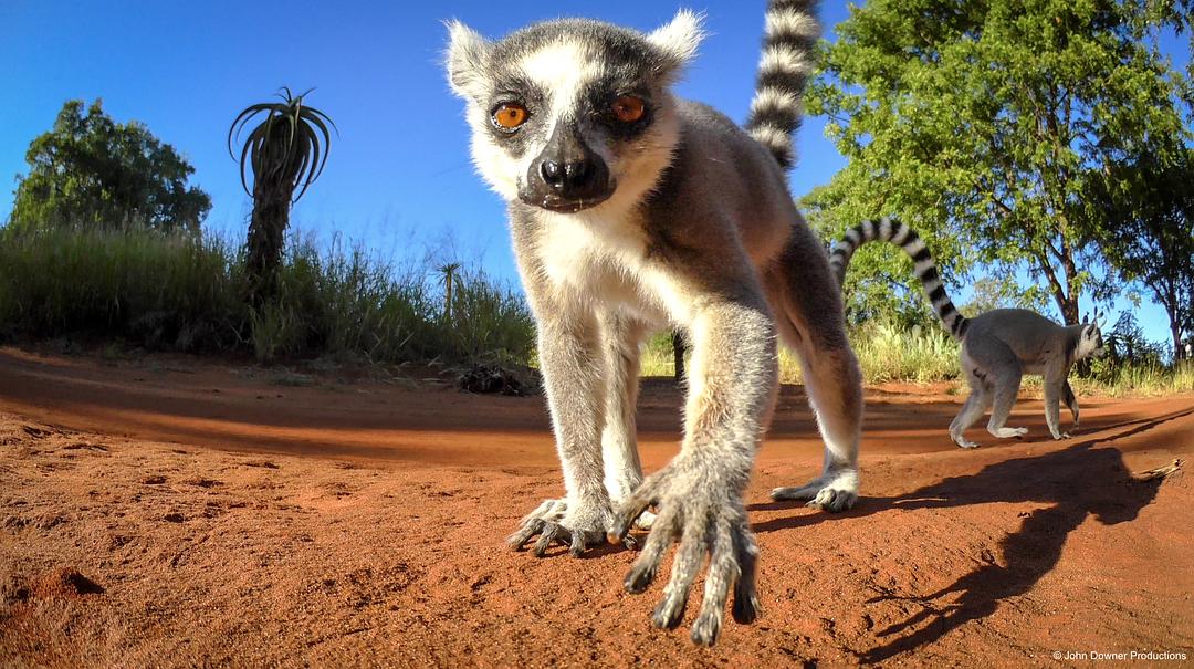 《荒野间谍第二季》剧照