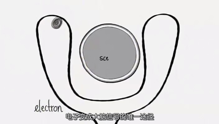 《地平线系列：一根绳子有多长？》海报第7张图片