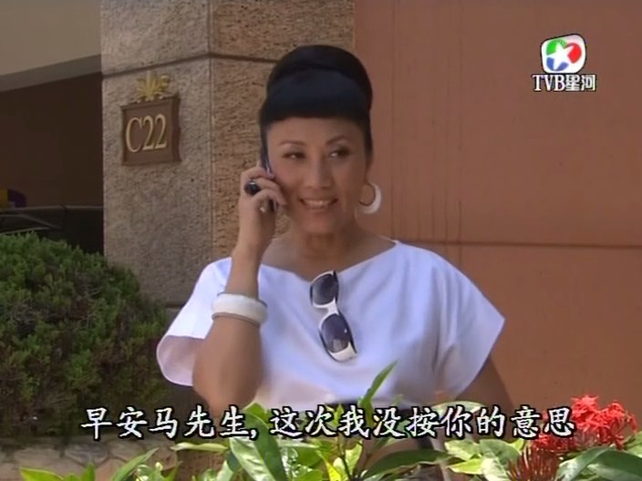 《野蛮奶奶大战戈师奶》剧照第20张图片