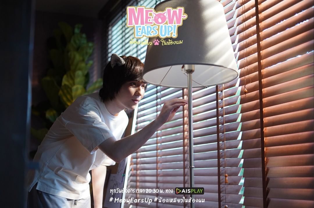 《好久不见啊喵》剧照第24张图片