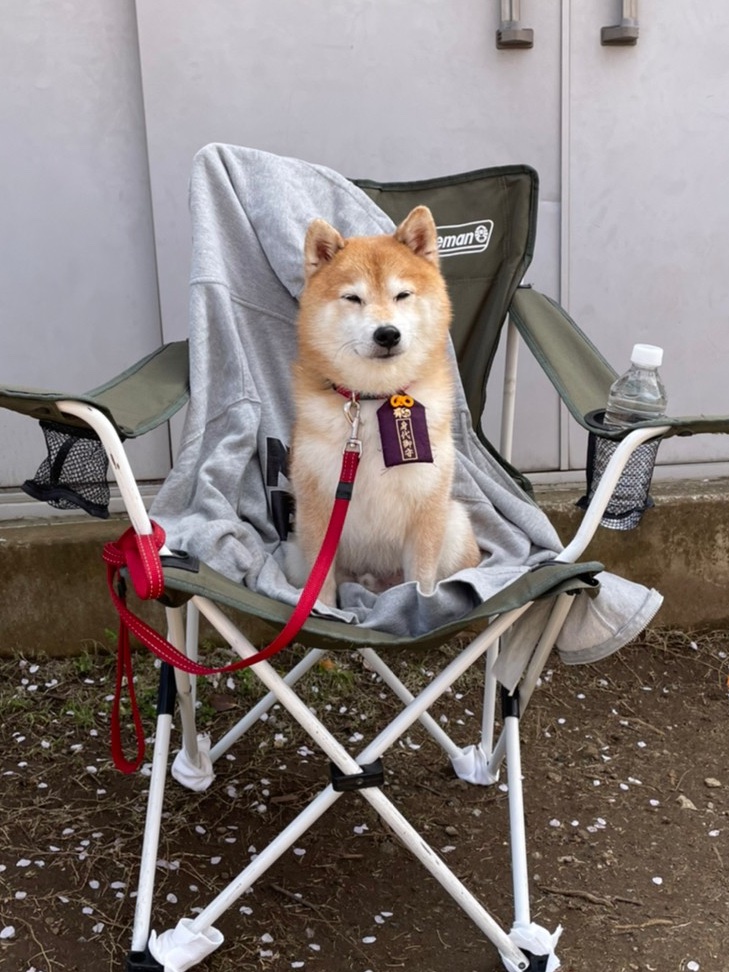 《难破MG5》剧照第44张图片