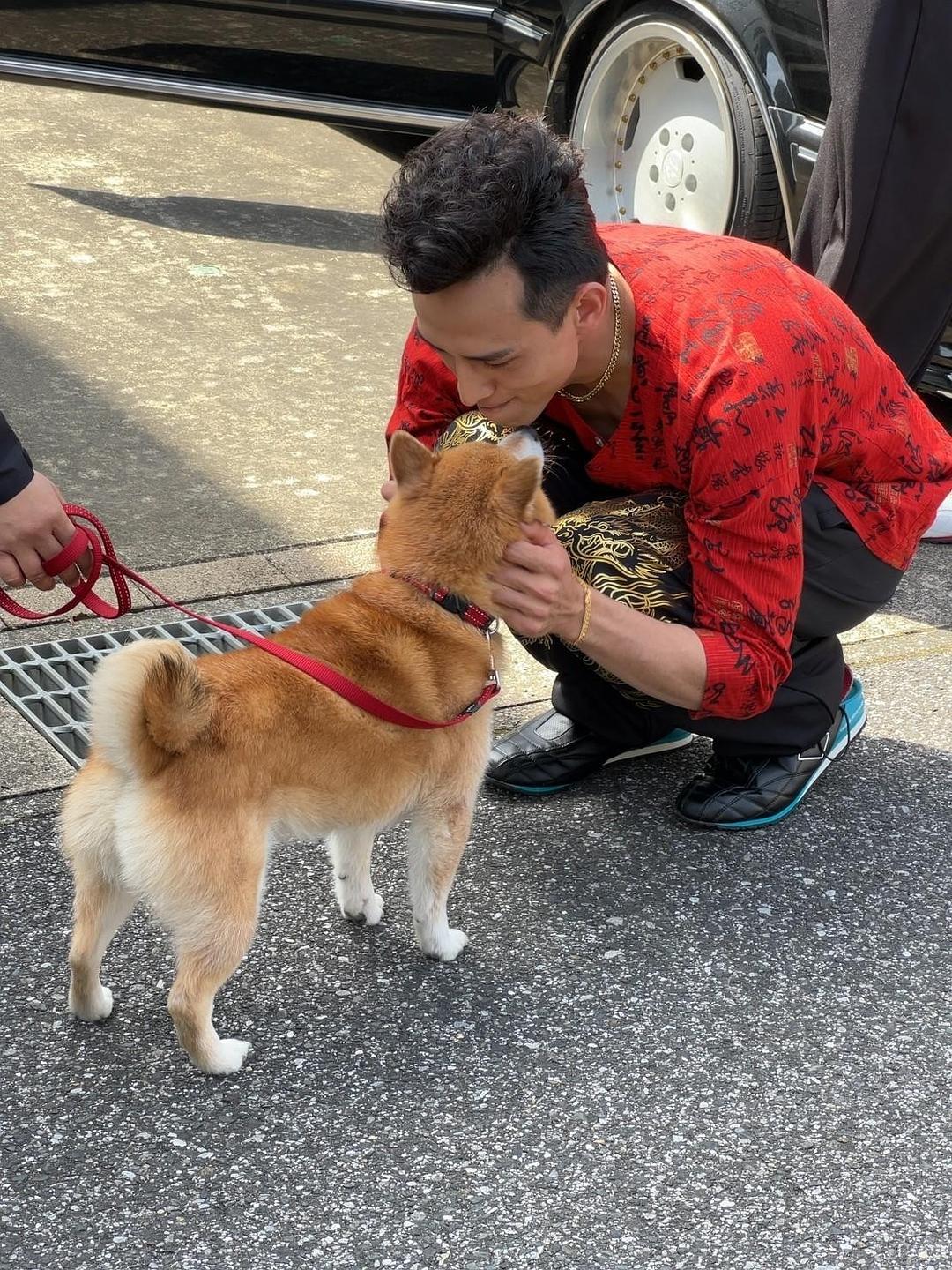 《难破MG5》剧照第39张图片