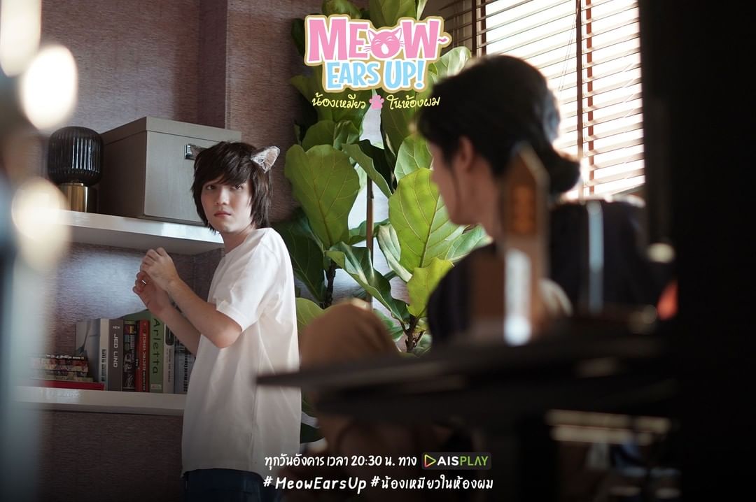 《好久不见啊喵》剧照