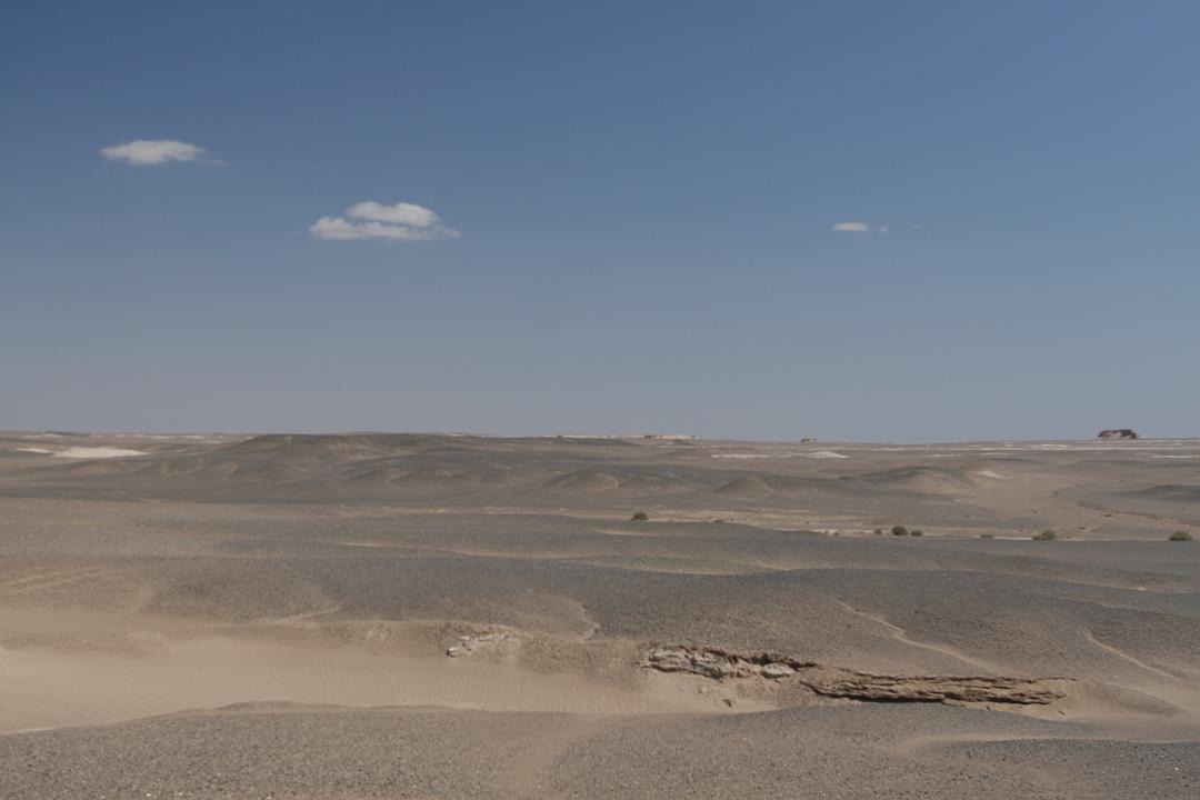 《无人区》剧照第23张图片