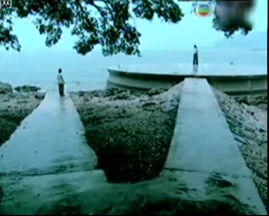 《森之爱情》剧照