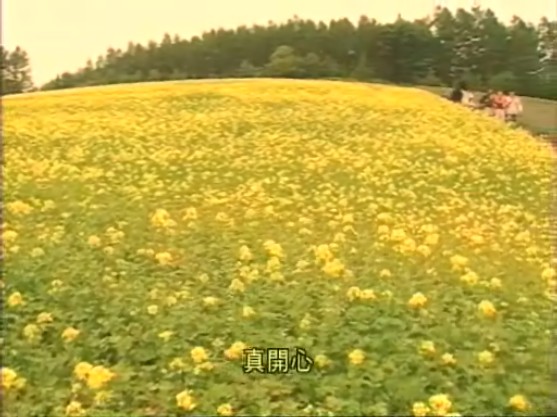 《冲上云霄》海报第49张图片