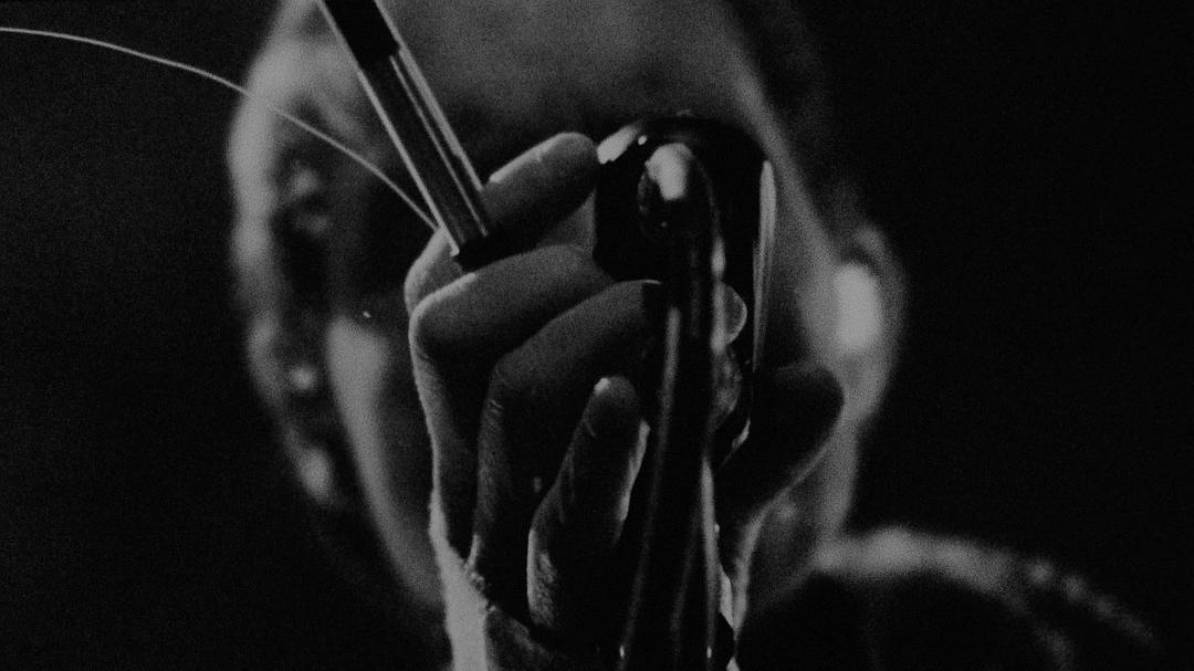 《谜之音》海报第14张图片