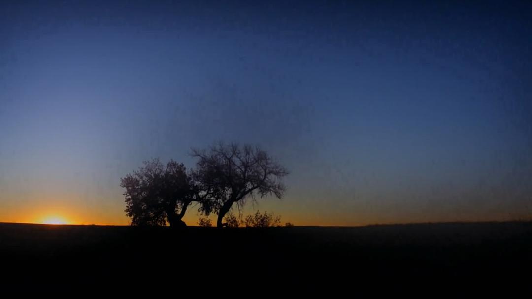 《火炬木小组第四季》海报第53张图片