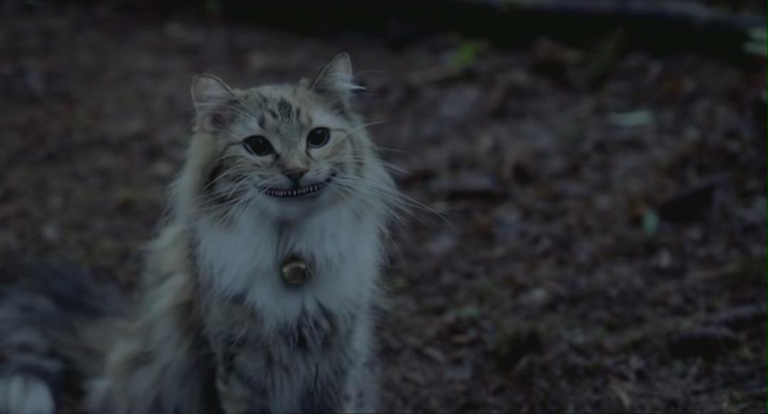 《爱丽丝》剧照第36张图片