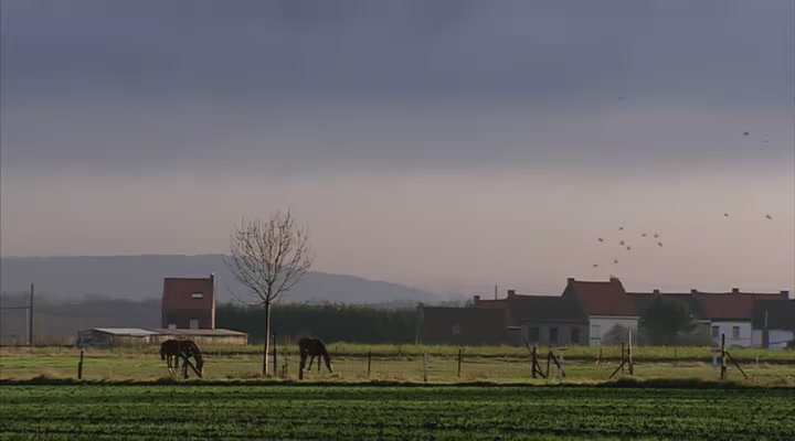 《文森特·凡·高全传》海报第17张图片