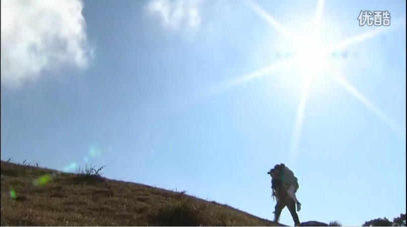 《护花危情》海报第55张图片 《护花危情》海报第55张图片