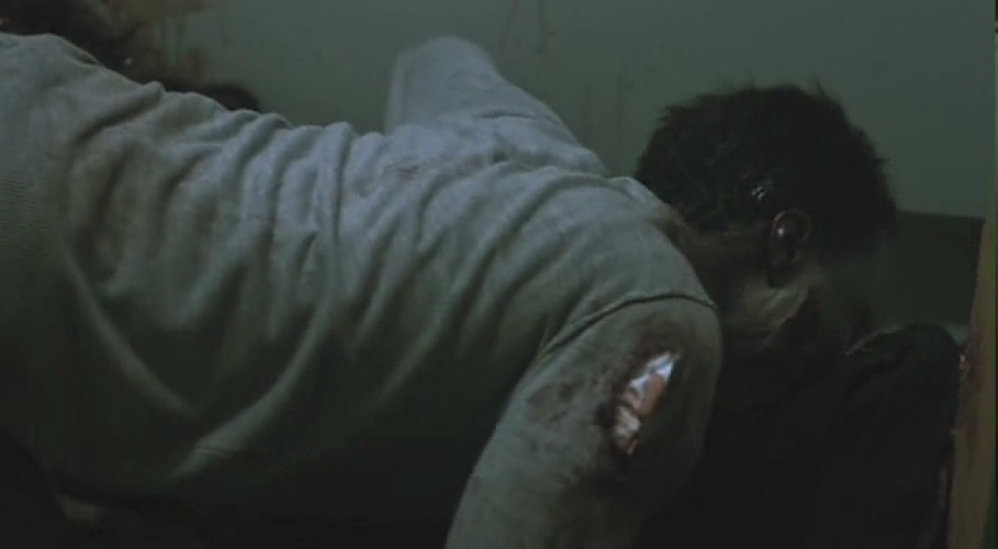 像小猫一样的吃。