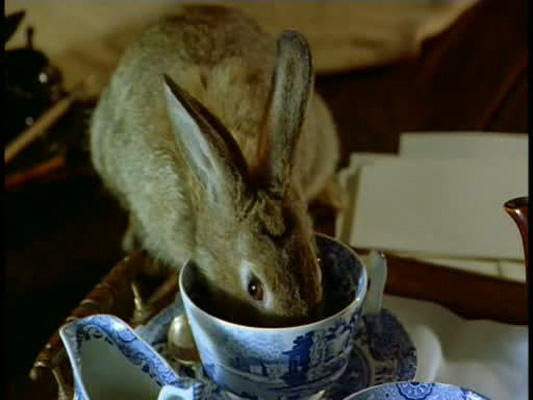 《彼得兔和朋友们的世界》海报第3张图片