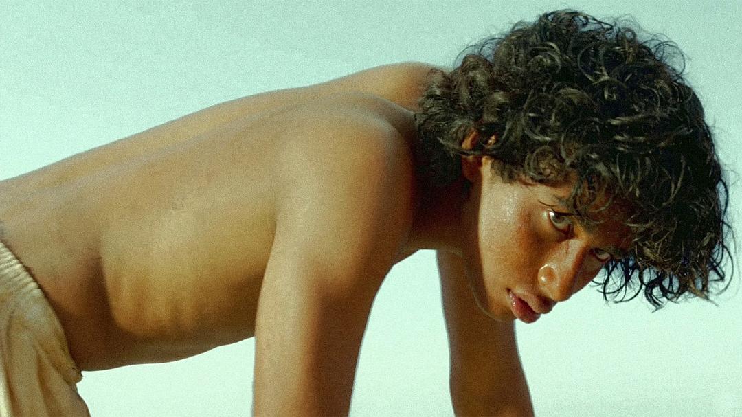 《少年派的奇幻漂流》海报第15张图片