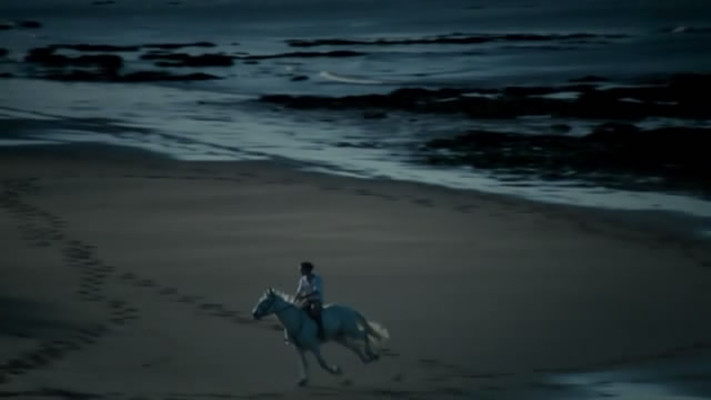 《蝴蝶梦魇第一季》海报