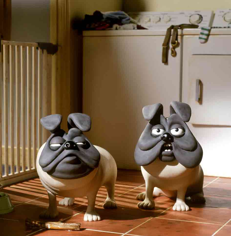 《动物悟语》剧照第6张图片