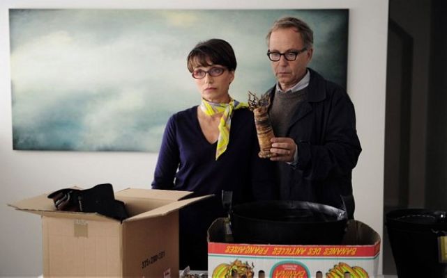 《登堂入室》海报第33张图片