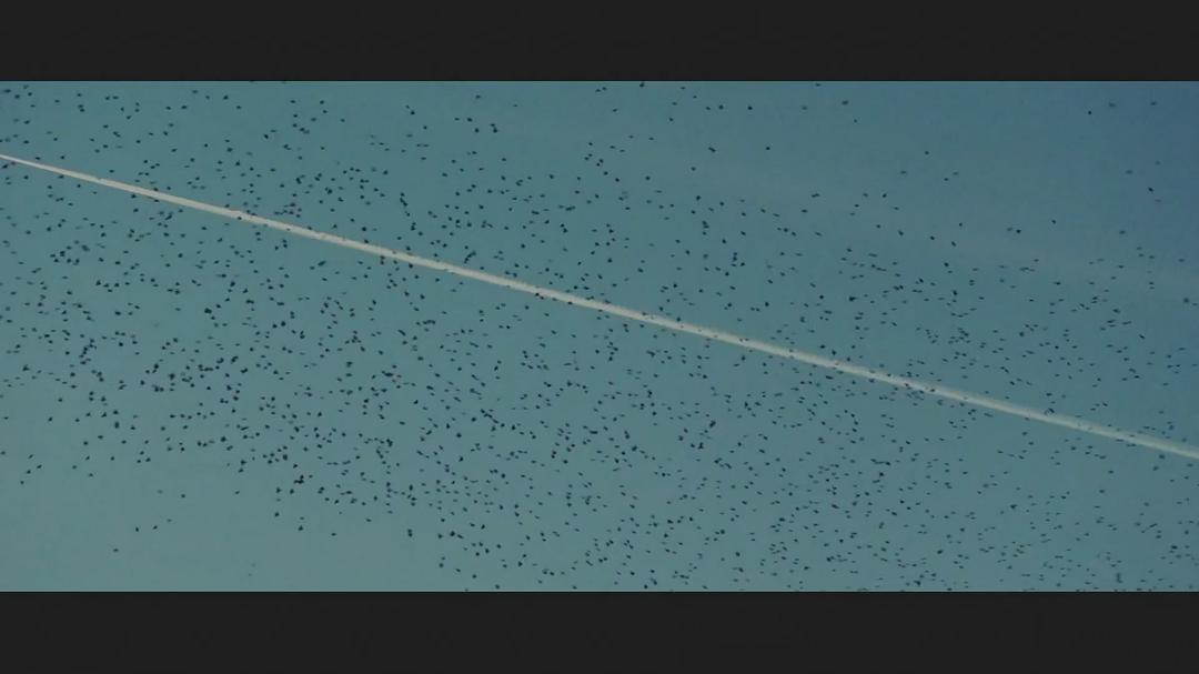 《绝美之城》海报第44张图片