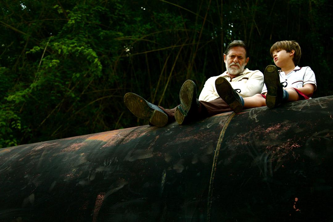 《我亲爱的甜橙树》海报