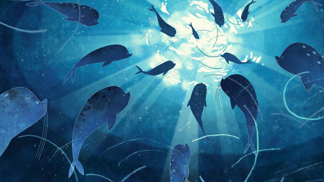 《海洋之歌》海报