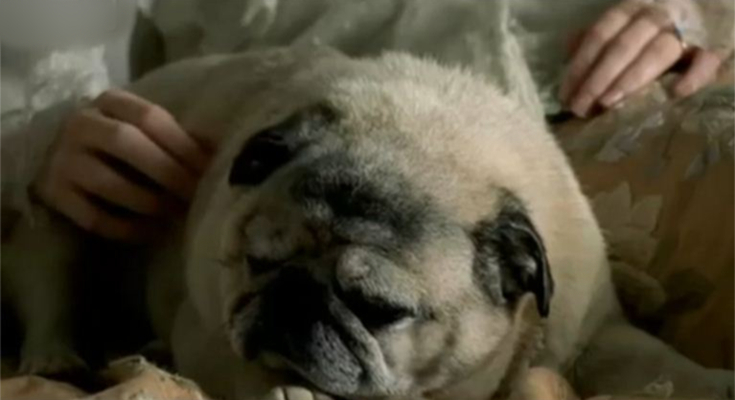 《大卫·科波菲尔》海报第45张图片