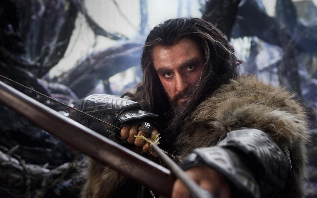 《霍比特人2：史矛革之战》海报第21张图片