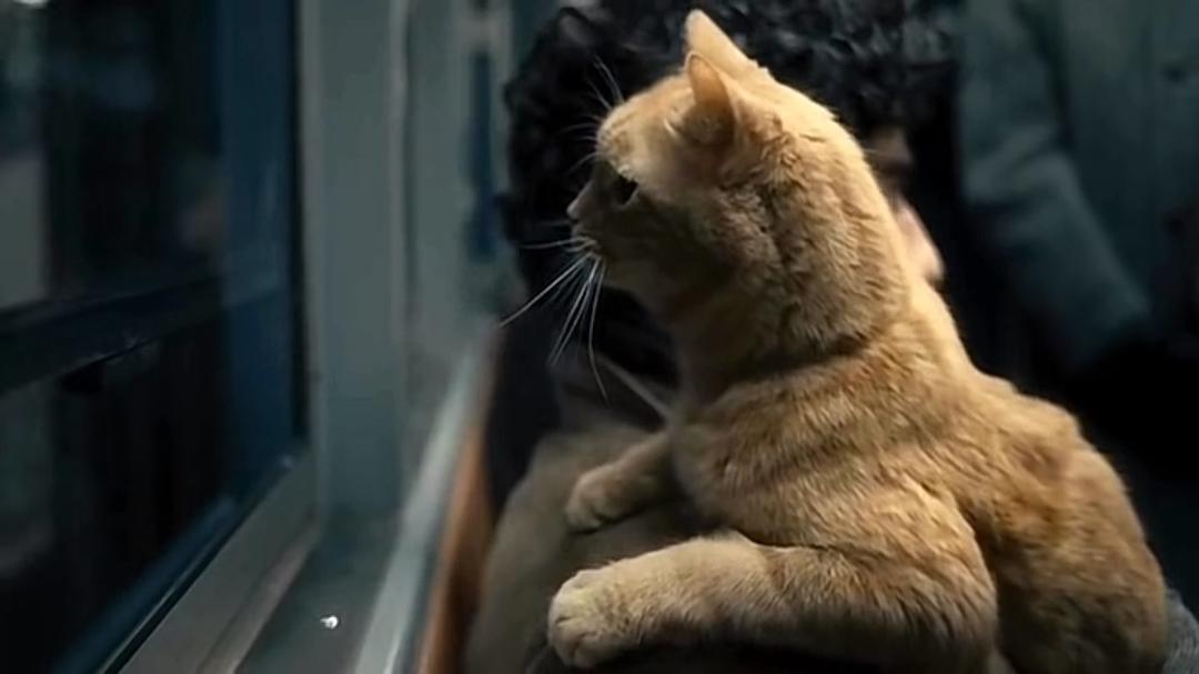 《醉乡民谣》海报第56张图片