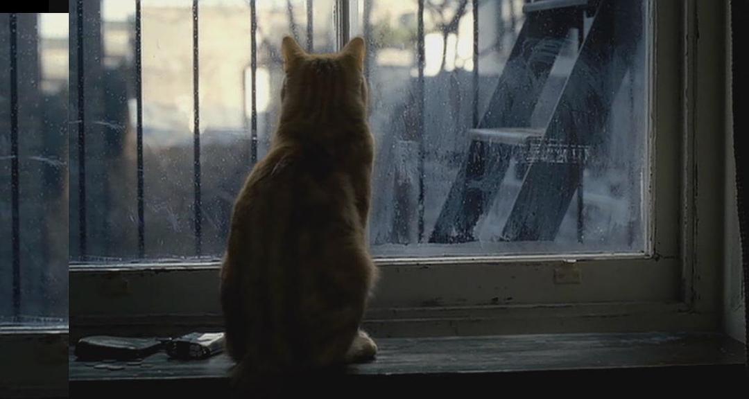 《醉乡民谣》海报第55张图片