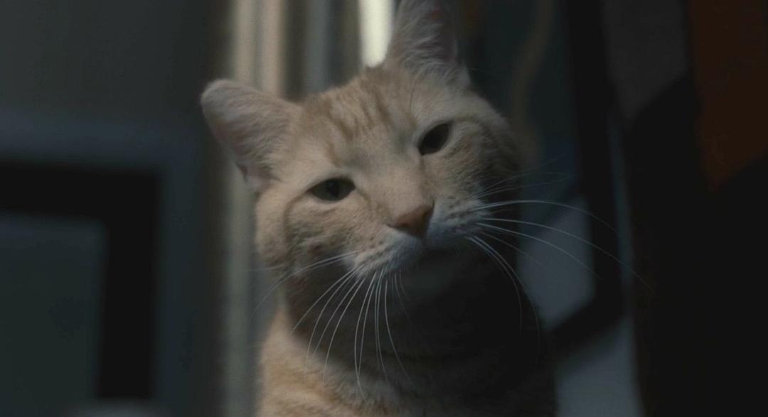 《醉乡民谣》海报第51张图片