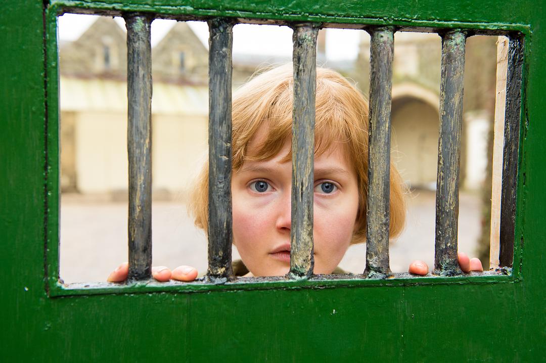 《菲洛梅娜》剧照第55张图片