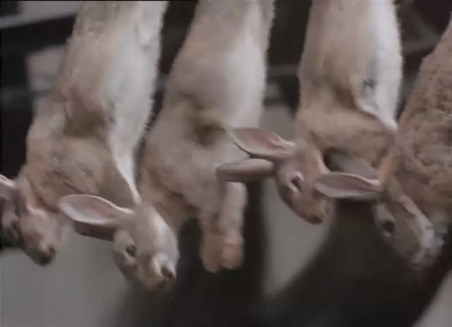 《福尔摩斯回忆录》海报第29张图片