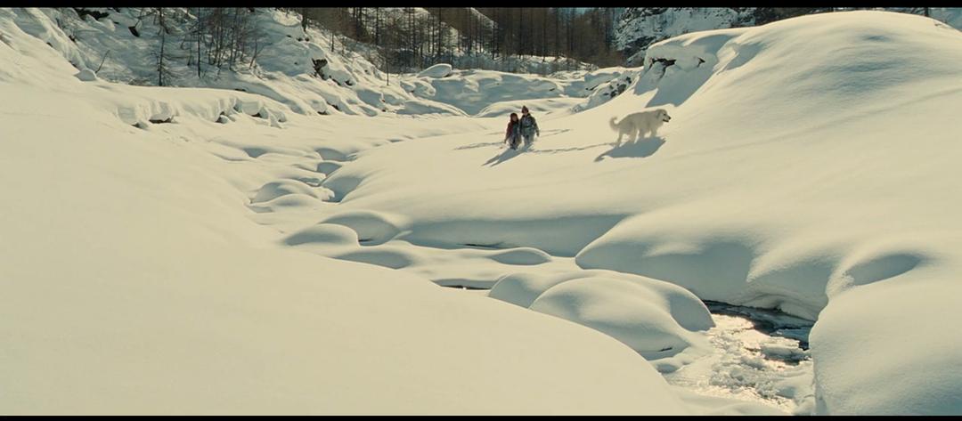 《灵犬雪莉》剧照第31张图片