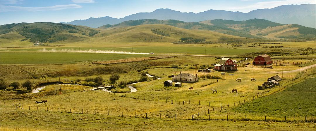 《少年斯派维的奇异旅行》海报第52张图片