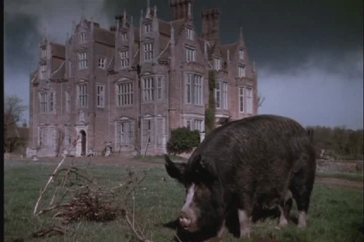 《名利场》海报第17张图片