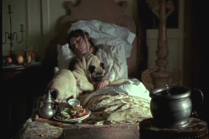 床上的两只狗应该是我...