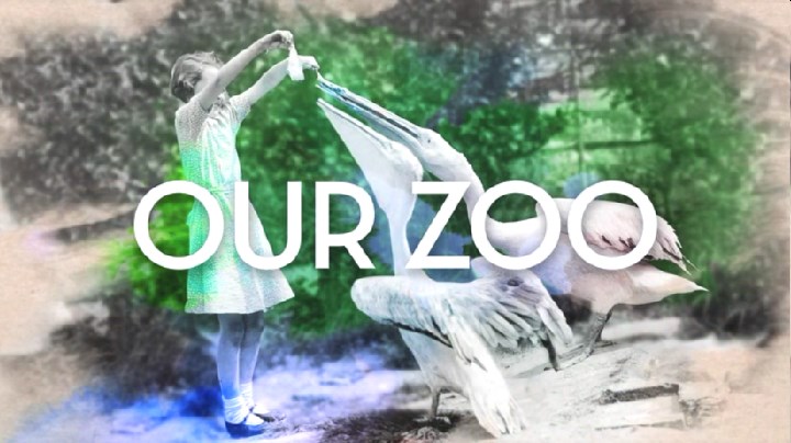 《我们的动物园》剧照