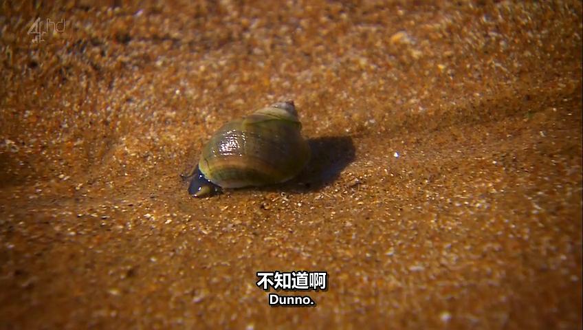 《德里克第一季》剧照第47张图片