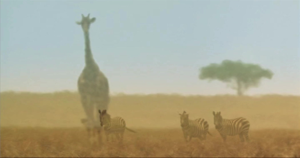 《岸的另一边》剧照第34张图片